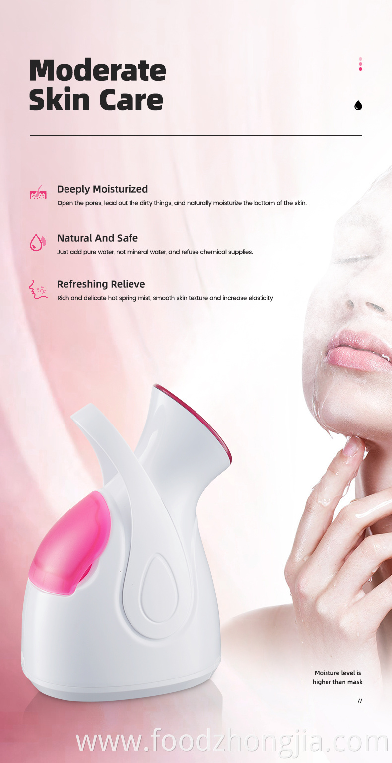 Professional Mini Nano Ionic Warm Mist Face 3 in 1 Aromatherapy Humidifier Steamer for Facial Moisturizing Cleansing